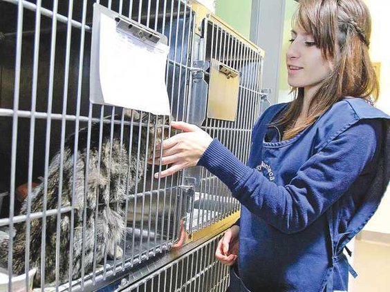 SHELTER8-10-28-11a
