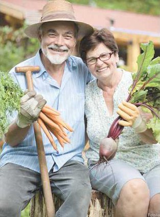 garden lt