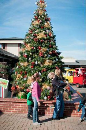 pic 209-xmas-stockton-1