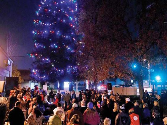 HOSPICE TREE OF LIGHTS8 12-1-16 copy