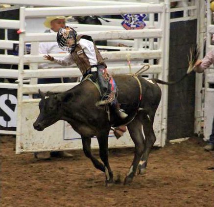 8-31 Oak Rodeo