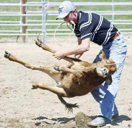 0803 Rodeo Farquer