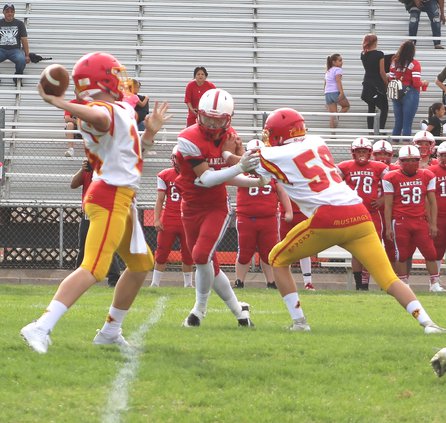 jv qb.JPG