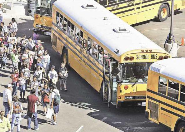 BUS1-11-20-08 lt