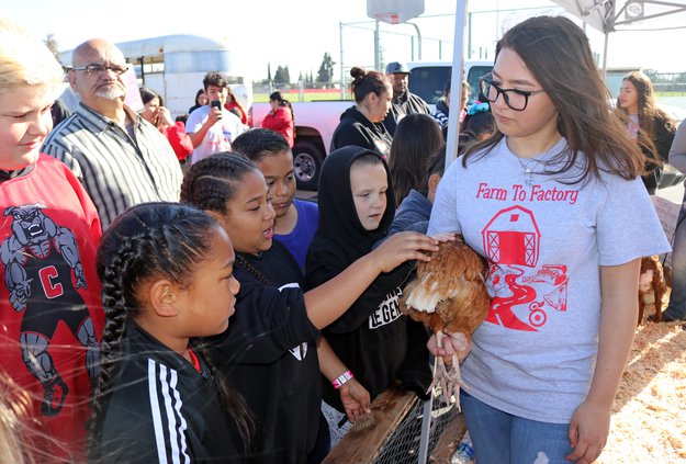 Katie Hood with chicken.jpg