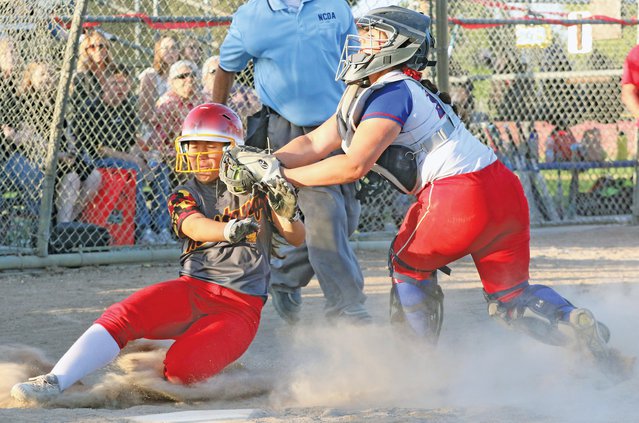 Bulletin softball 2019