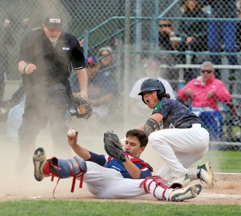 Bulletin baseball 2019