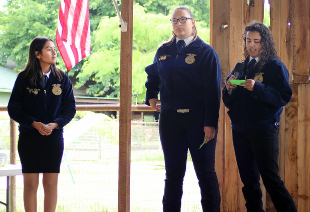 FFA speakers