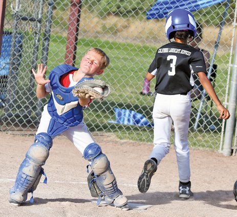 Bulletin Little League 2019