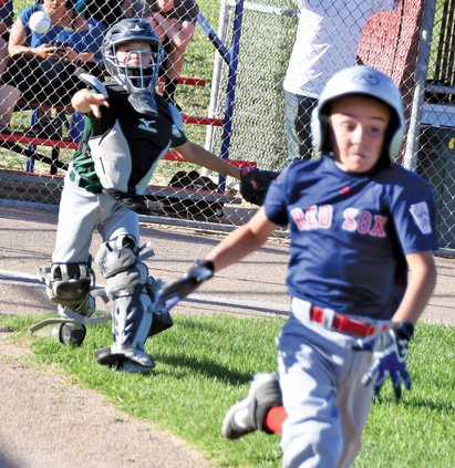 Bulletin Little League 2019