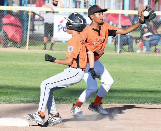 Bulletin Little League 2019