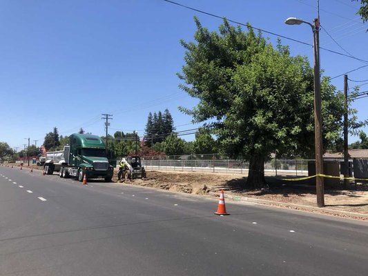 TUSD construction trees